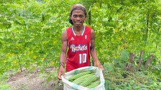 AMPALAYA 1/4 HECTARE 10K PUHUNAN, 200K KITA kahit BAGSAK PRESYO