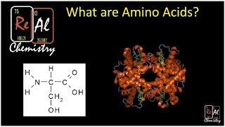 What are amino acids? - Real chemistry