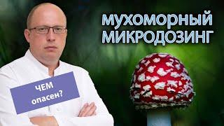  Мухоморный микродозинг - чем опасен 