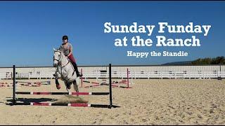 Sunday Funday at the Ranch | Happy the Standie