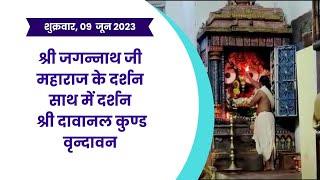 श्री जगन्नाथ जी महाराज के दर्शन साथ में दर्शन श्री दावानल कुण्ड वृन्दावन #jaijagannath #vrindavan