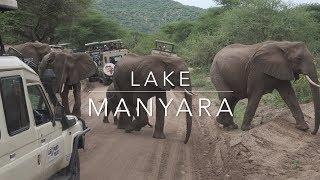 Lake Manyara National Park