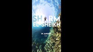 Sharm El-Sheikh Egypt - Winter Sun - Discovering the Blue Hole