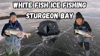 2025 White Fish - Sturgeon Bay (the BITE is on!)