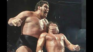 If Andre The Giant battled a gorilla in a fight, who would have won?Andre the giant