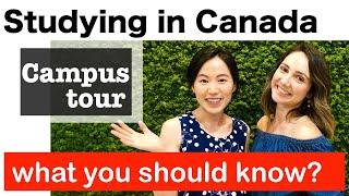 Studying in Canada|What to Expect as International Student?