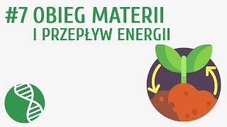 Obieg materii i przepływ energii #7 [ Ekologia ]