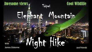 Elephant Mountain (象山) Taipei Night Hike 1 (台北晚上爬山 1) - Snakes, frogs & wildlife 蛇，飛鼠，和其他動物