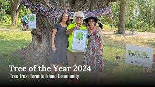 Tree of the Year 2024: Tree Trust TORONTO ISLAND Community