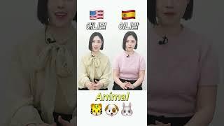 영어 VS 스페인어 같은 단어 발음차이!