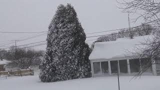 Gregory Editor, SNOW REMOVAL