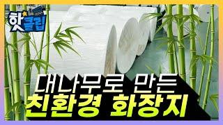 대나무로 만드는 휴지!? 지구를 위한 친환경 화장지가 탄생했다..! / YTN 사이언스