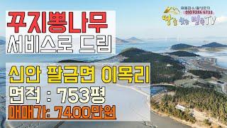 [매매 7400만] '꾸지뽕나무200여그루 드림' 신안 토지매매