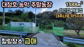 (매물번호14144) 보은부동산 1388㎡(420) 보은땅 보은토지매매매물 대전부동산 강가토지 물가땅 대전토지 시골땅 촌땅 소액땅 주말농장 전원주택지 청주부동산 청주땅 8900만원