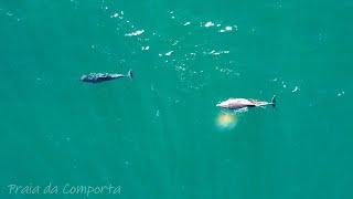 Praia da Comporta & Azenhas do Mar 2020 Drone Mavic Mini 2.7K