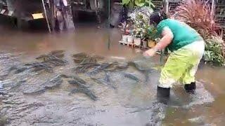 MGA ISDA SA BAHA!!! BAGYONG PEPITO at KRISTINE!!! Philippines. Typhoon.