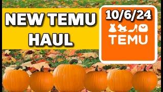 New Temu Haul 10/6/24