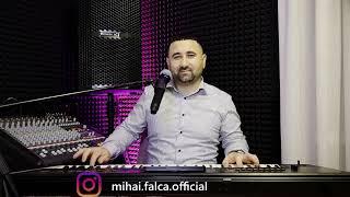 Mihai FalcaFete cate vrei+ BANII  New 2023 (cover)