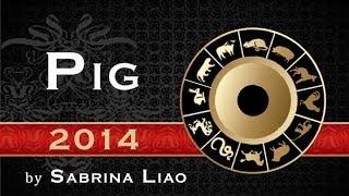 Pig - 2014 Forecast (Chinese Astrology by Sabrina Liao)