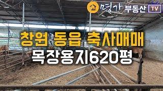 [C-02] 경남 창원 축사매매 목장용지620평 축사건물 약350평 현재 한우사육 중