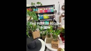 The Potted Bloom Room, fresh flowers, Gifts , Plants, online shopping, Flower Delivery , Open 7 days