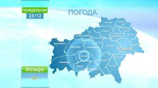 Погода в Гомеле и Гомельской области 23 декабря