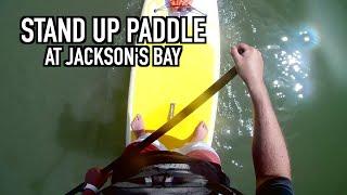 HYDROFORCE Cruiser Tech Solo SUP Around Jackson's Bay