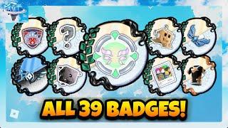 How To Get ALL 39 BADGES (+ Flight Course) in THE GAMES HUB! | Roblox The Games Event