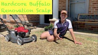 Scalping / renovating / rejuvenating a NEGLECTED  Sir Walter buffalo (St Augustine grass) lawn