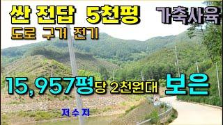 충북보은임야, 싼 임야전답, 도로,구거,전기, 청청지역 산양삼, 가축사육, 전답 5천평