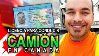 Como sacar mi LICENCIA para conducir CAMIONES ( DZ&AZ)