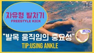 How to improve freestyle kick/Importance of ankle movement/자유형발차기/발목유연성/발차기