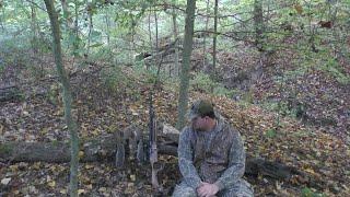 PCP Air Rifle Squirrel Hunt! Is This The ULTIMATE Squirrel Rifle?