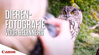 Dierenfotografie voor beginners (in 5 stappen) | Canon Nederland