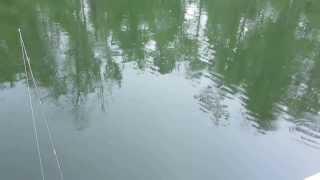 Chippewa Flowage, Northern Pike Fishing in a Hail Storm