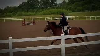 50 Days 50 up’s! Day 4/50! #equestrian #fypシ #hunterjumper @ReeceandTheo