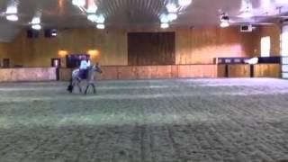 Pony pattern