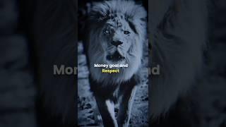 Sigma Rule  focus on money goal and respect #motivation #shorts #motivationalquotes