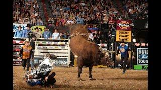 ALL TIME BUCKING BULLS