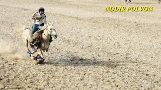 NODIR POLVON UZINI OQ BULUTIDA YAKKA  CHOPGAN POLVОN#uloq#otlar#horses#otbozor#kurash#chorva#лошад