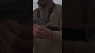 How to catch a HUGE Rainbow Trout #fyp #viral #trending #foryou #pov #fishing #camping #nature