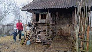 Routine work of mountaineers: bypassing pets, re-equipment of the house