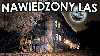 Nawiedzony las Popioły w Łodzi