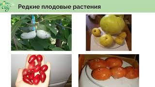 Многоярусность, видовое разнообразие и другие секреты природного сада