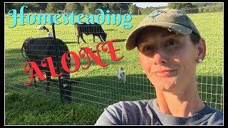 Homesteading ALONE~