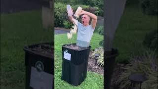 Nick pinto tiktok