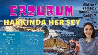 ERZURUM'DA(-35°C) YAŞAMAK / ATATÜRK ÜNİVERSİTESİ HAKKINDA HER ŞEY / YURT ? YEMEK /ULAŞIM KAMPÜS/