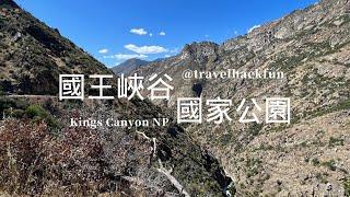 國王峽谷國家公園 Kings Canyon National Park 一日遊 | 瀑布、大樹與峽谷