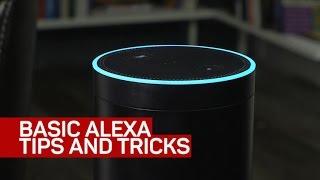 Basic Alexa tips and tricks