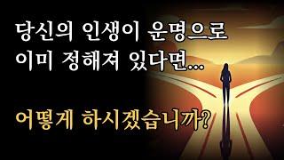 당신의 인생이 운명으로 이미 정해져 있다면...어떻게 하시겠습니까? [운명에 만약은 없다]